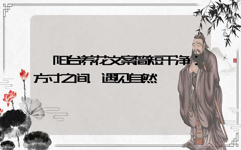  阳台养花文案简短干净：方寸之间，遇见自然